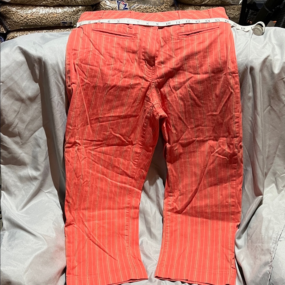 Fashion Bug Vibrant Coral Pinstripe Capris
